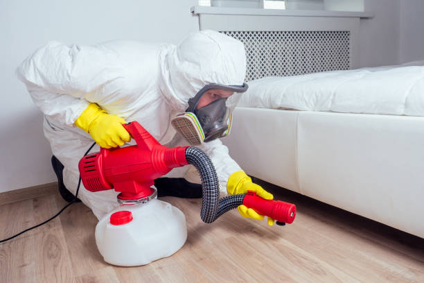 Best Mosquito Control Services  in Palmhurst, TX