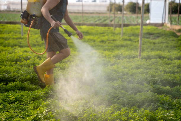 Best Wildlife Control Services  in Palmhurst, TX