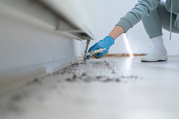 Wildlife Control Services in Palmhurst, TX